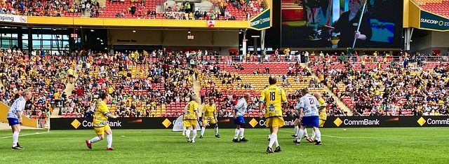 他们可以找 他们可以找