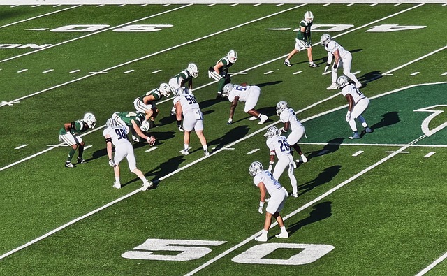 以来以快速 以来以快速