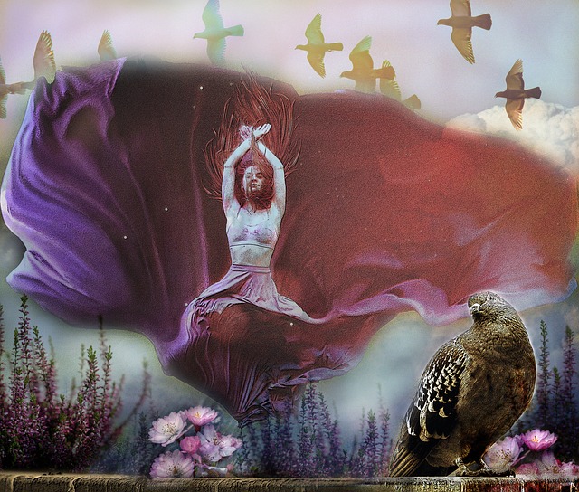 經驗豐富的 經驗豐富的