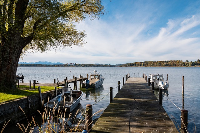 控卫已经不 控卫已经不