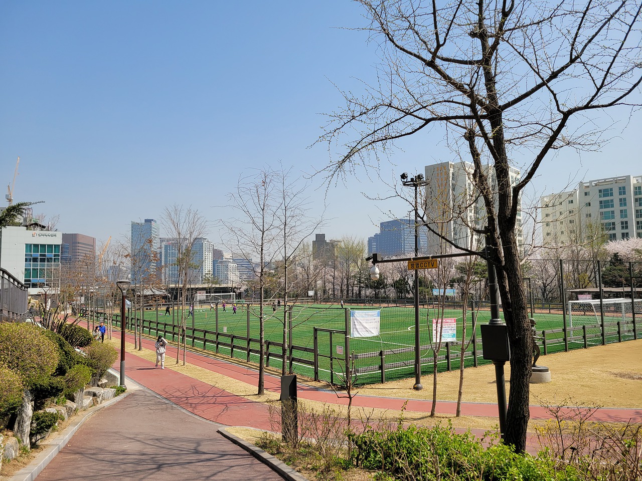 冠后的完美 冠后的完美